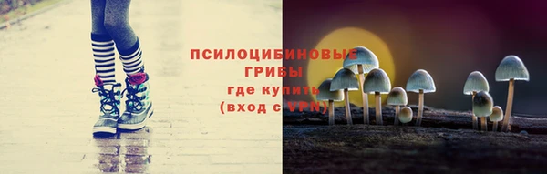 сатива Богданович