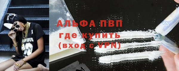 сатива Богданович
