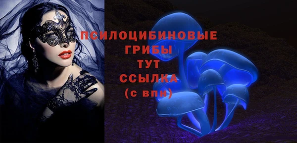 мяу мяу мука Бородино
