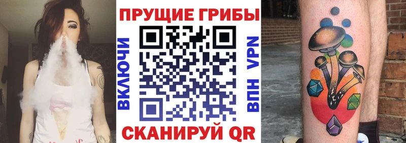 Псилоцибиновые грибы Magic Shrooms  кракен маркетплейс  Краснообск 